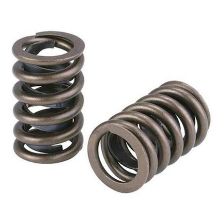 Valve spring kit Audi 1.8 20pcs