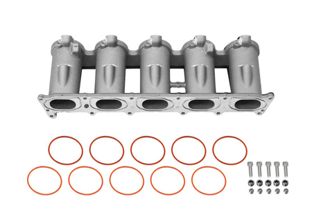 Casting Intake manifold runners Audi 2.5 TFSI AUDI RS3 