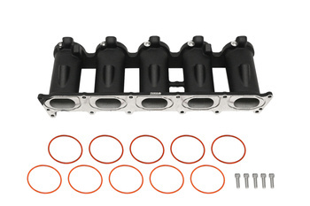 Casting Intake manifold runners Audi 2.5 TFSI AUDI RS3