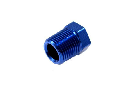 AN flare Plug 1/4NPT