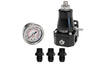 TurboWorks Fuel pressure regulator with AN6 clock